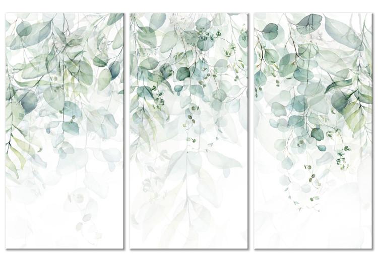 Leinwandbild Pastel Leaves - Plants in Delicate Greens on a White Background