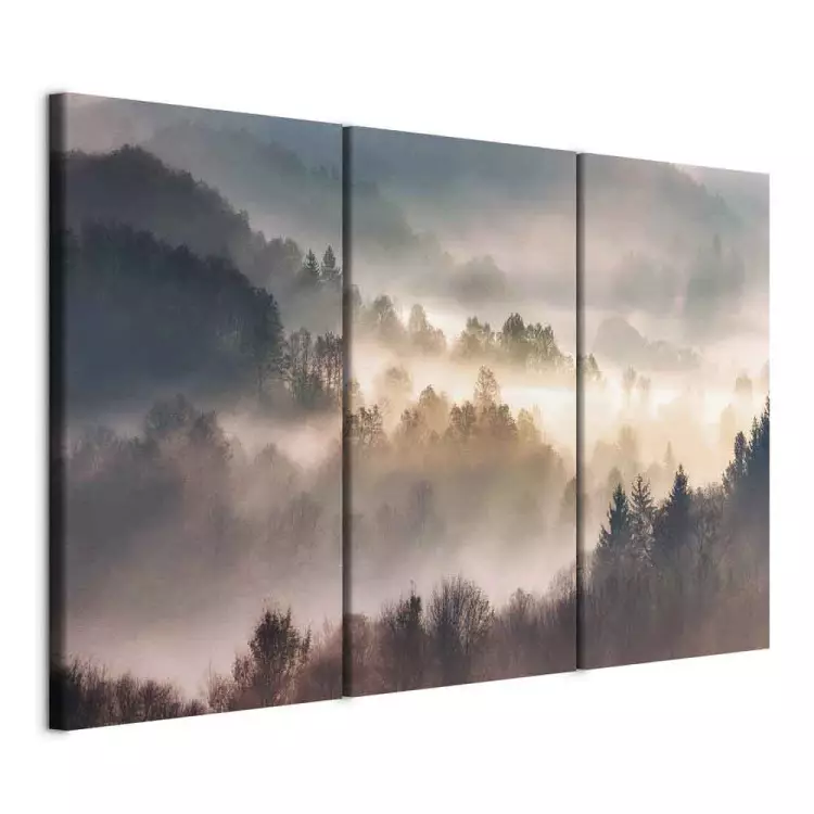 Wald im Nebel - Gebirgslandschaft mit Bäumen bei Sonnenaufgang