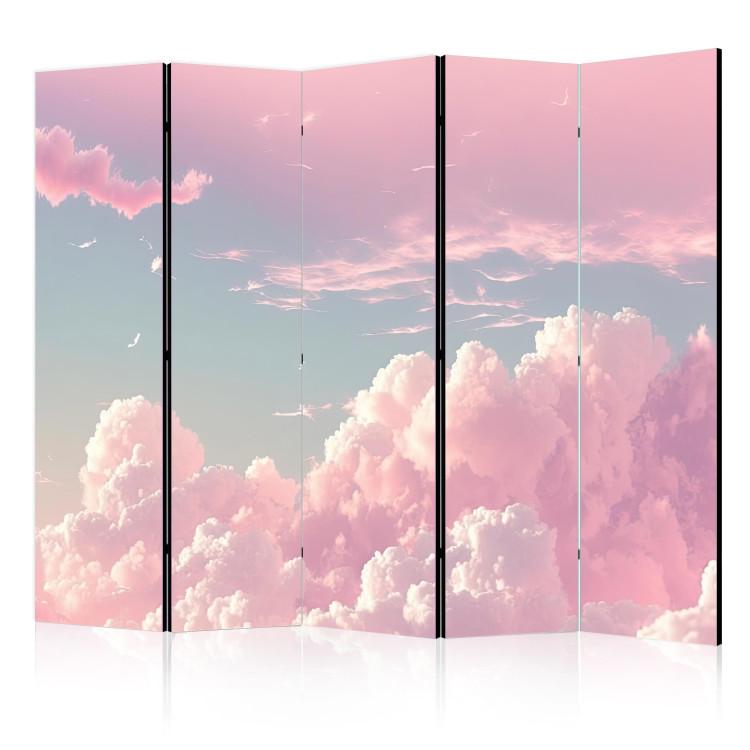 Paravent Sky Landscape - Pink Clouds on a Blue Horizon II [Room Dividers]