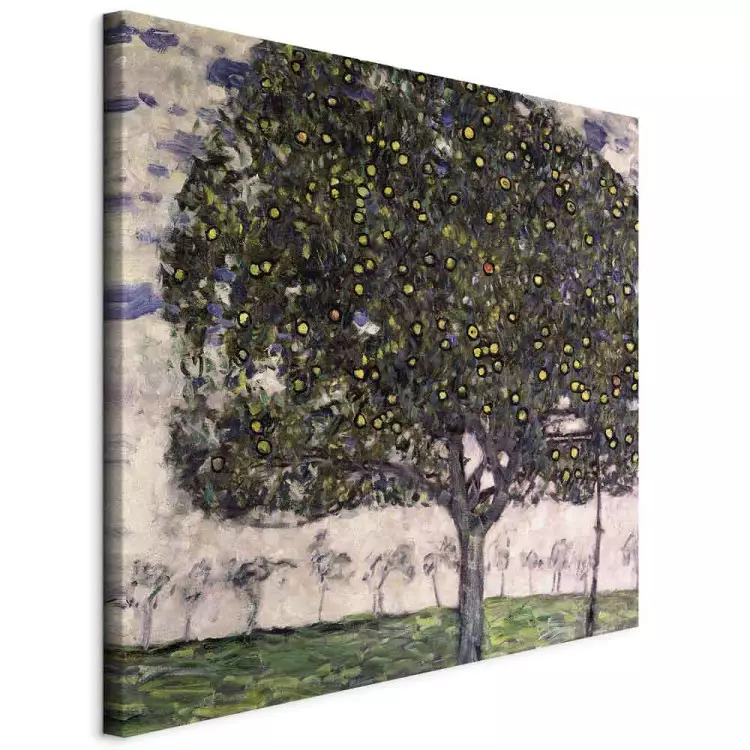 Der Apfelbaum II