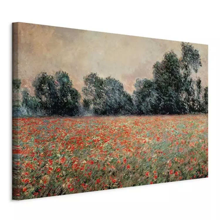 Poppies at Giverny