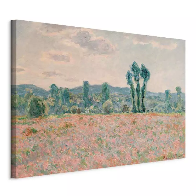 Feld mit Mohnblumen