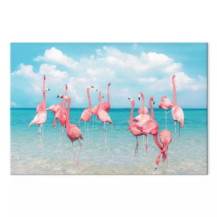 Tropische Flamingos - Vögel im klaren Wasser unter blauem Himmel