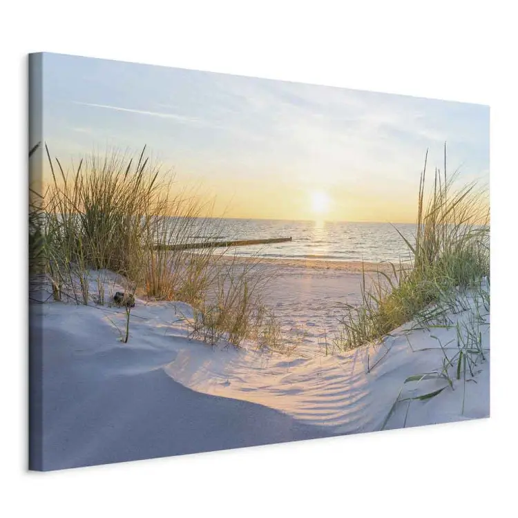Strandträume - ruhiges Meer mit sonnenbeschienenen Gräsern