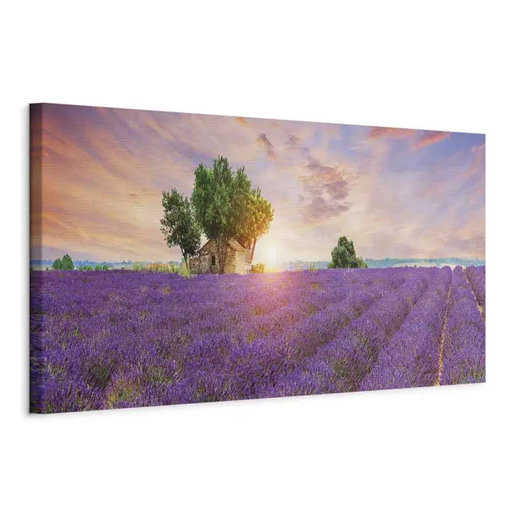 Provence - Sonnenuntergang über weiten Lavendelfeldern und einem Landhaus