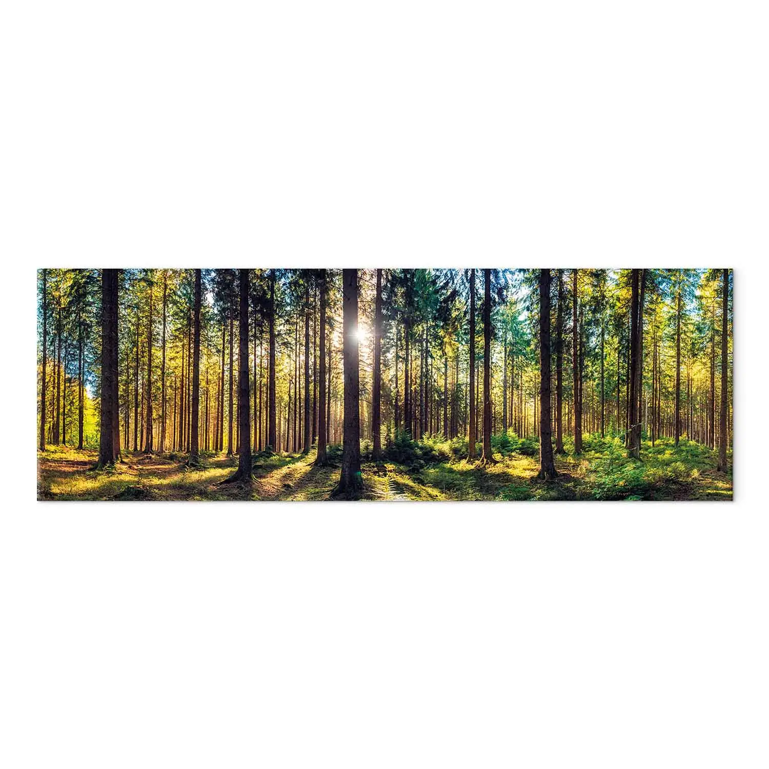 Wandbild XXL Leuchtende Bäume - Sonnenstrahlen im Wald - Wandbilder XXL