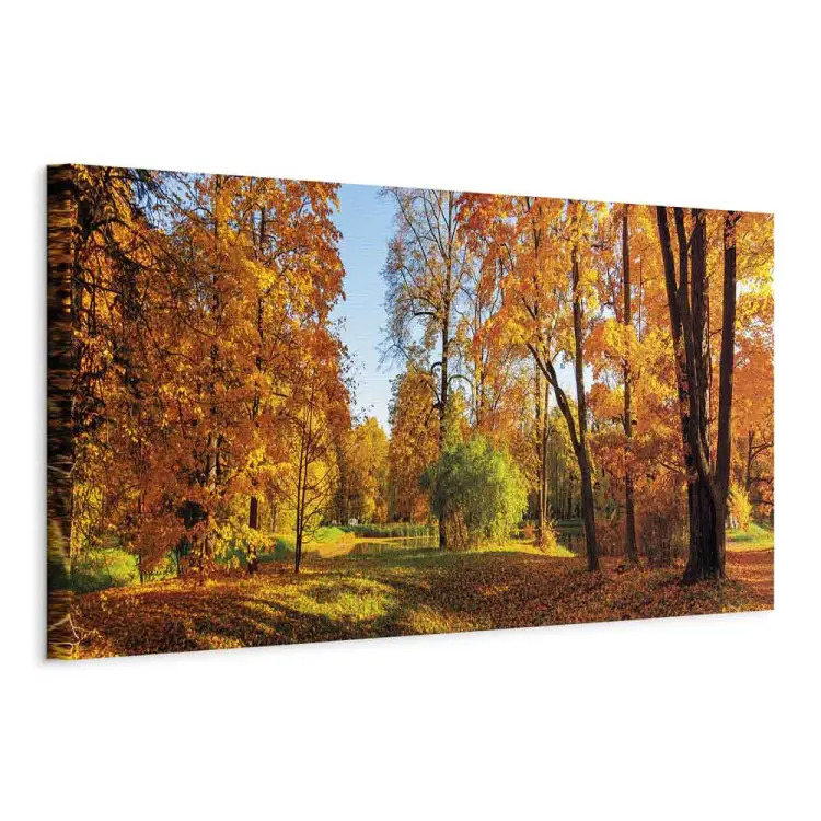 Herbstfarben - Vielfältige Schattierungen in einem sonnigen Park