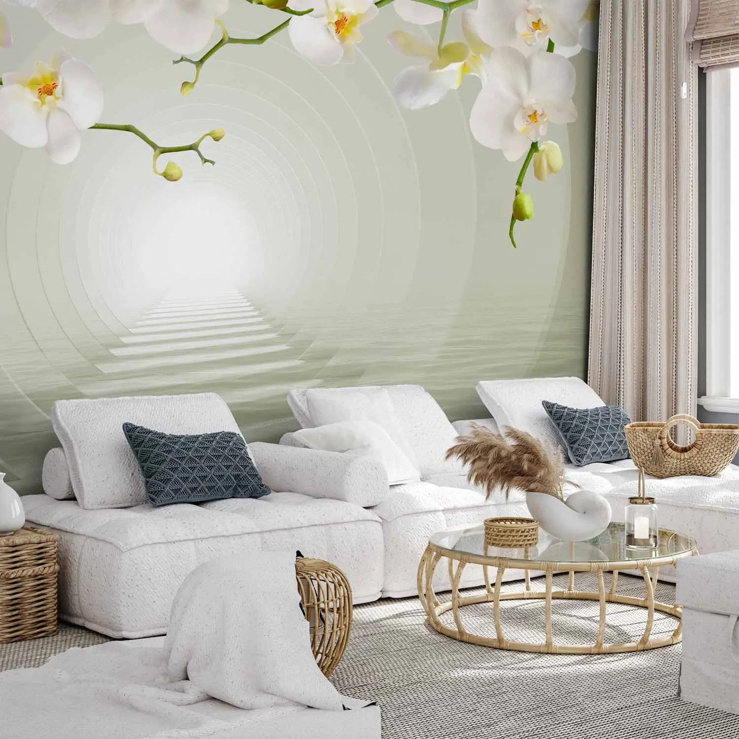 weie orchidee Weie Phalaenopsis - Phalaenopsis white