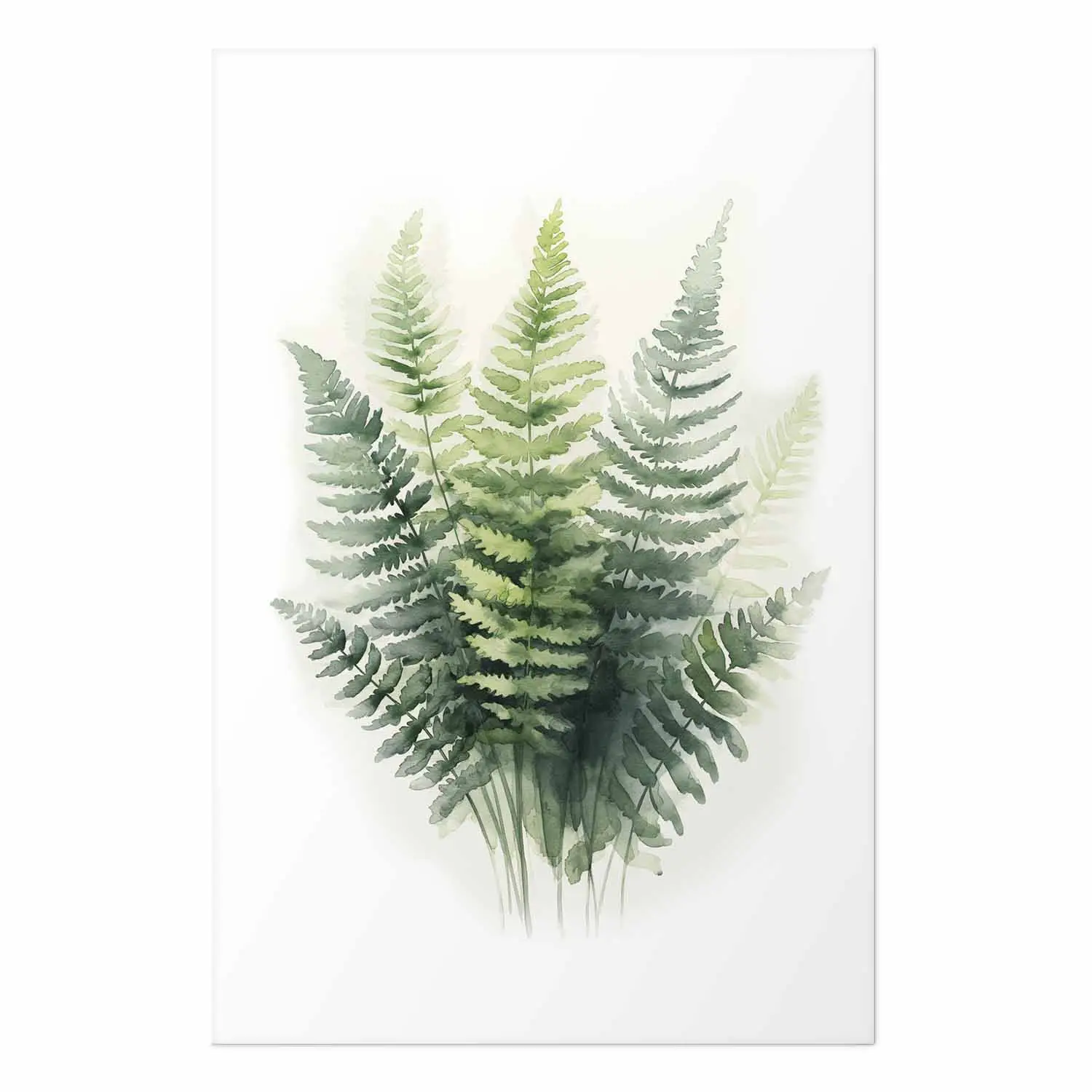 Poster Grner Farn - minimalistisches Aquarell von Naturblttern auf hellem  Grund - Poster - bimago