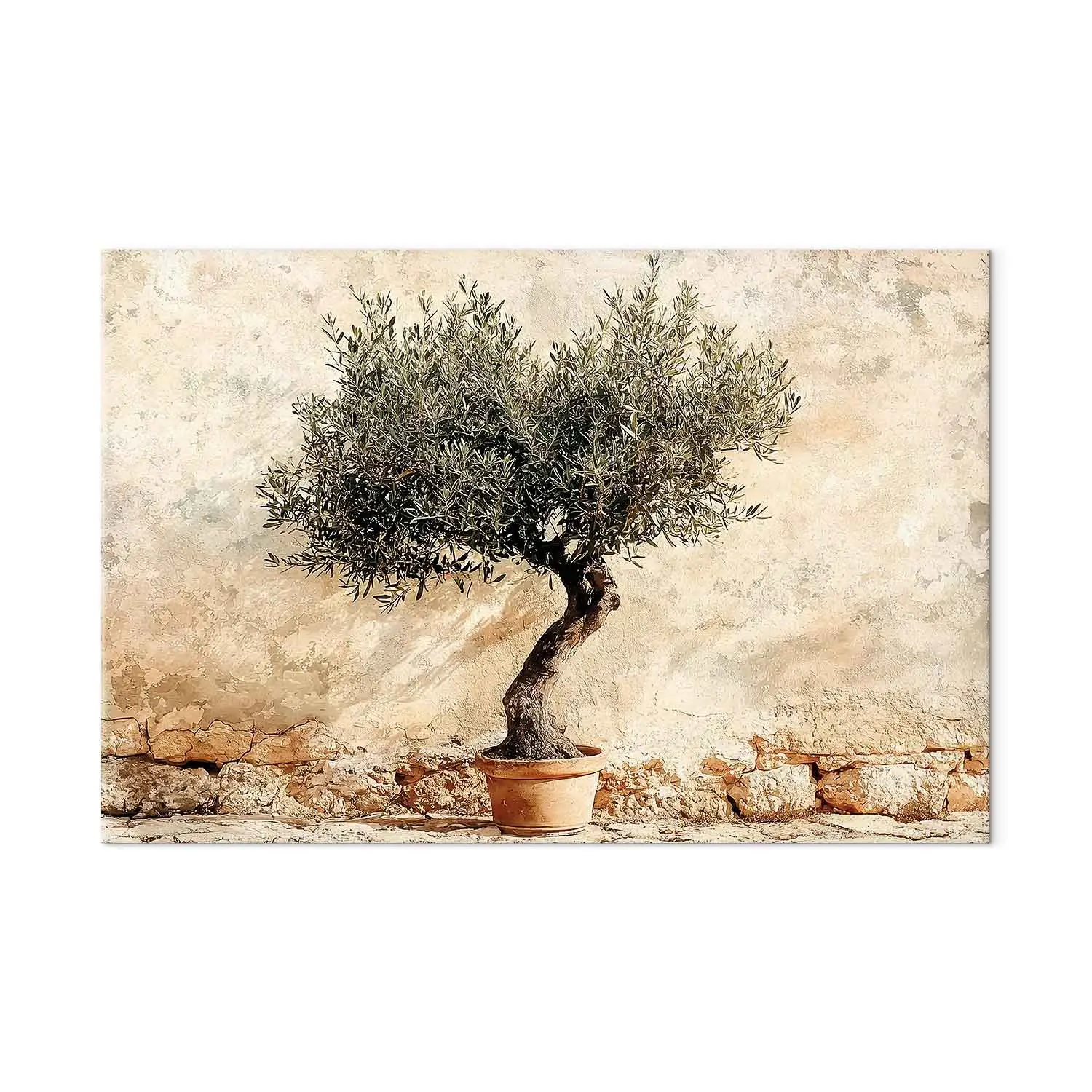 XXL Bild Mediterranes Flair - Olivenbaum vor beigem Mauerwerk - Wandbilder  XXL - bimago
