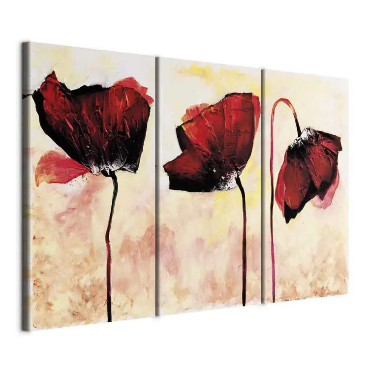 Drei rote Blumen (3-teilig) - Mohnblumen mit zarter Farbe