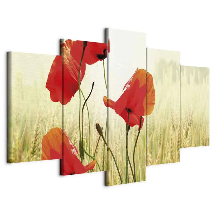 Natur und roter Mohn