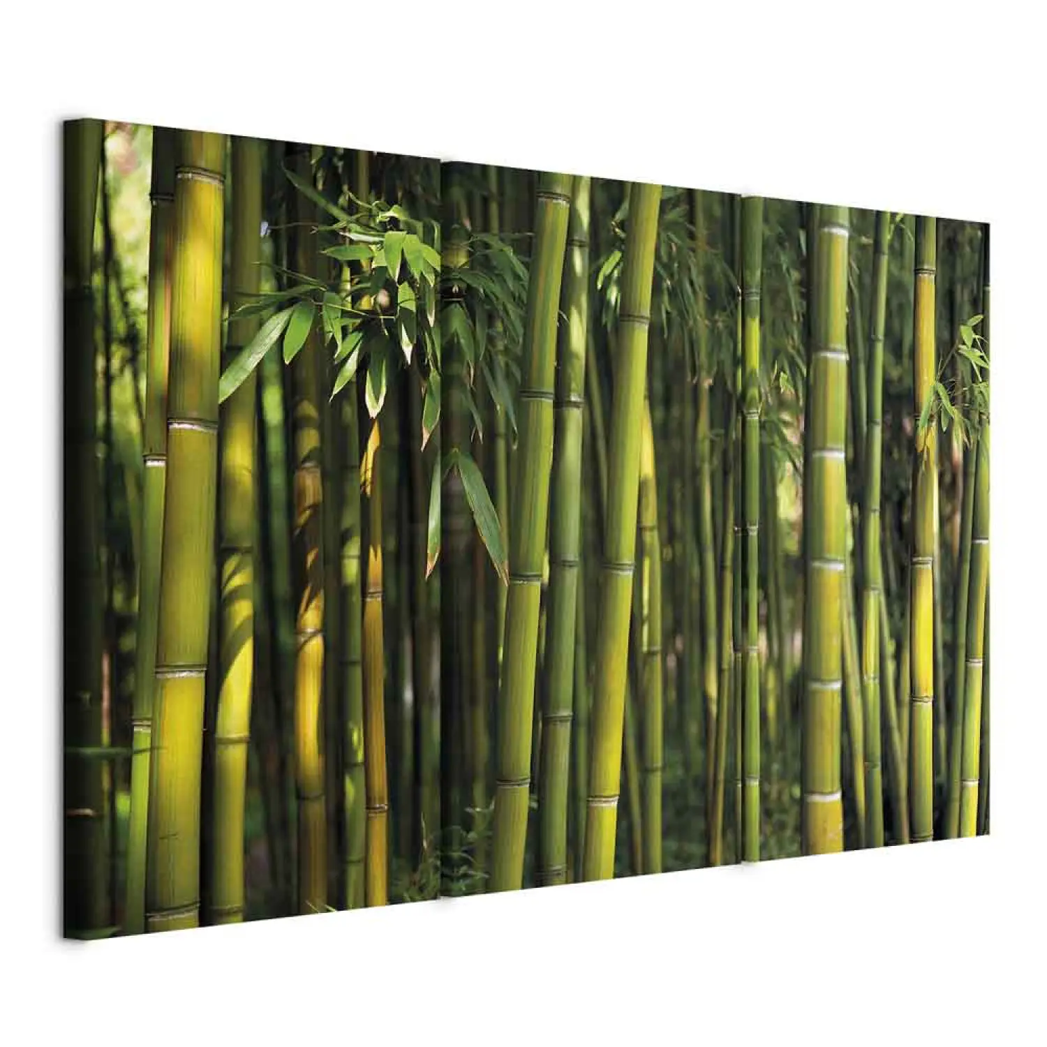 Foto auf Leinwand Bambus in Grn - Zen - bimago