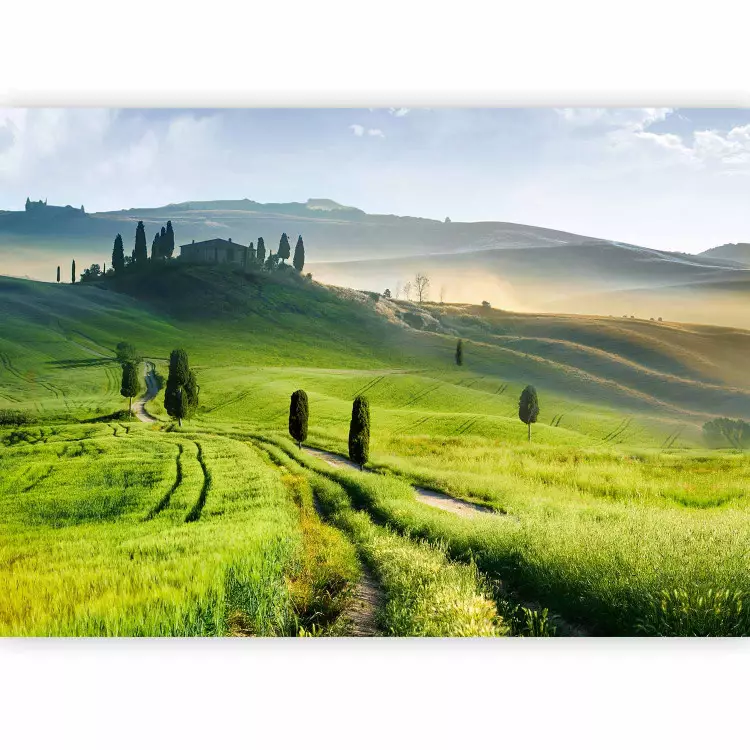 Italienische Toskana - Natur mit Bäumen auf grünen Wiesen