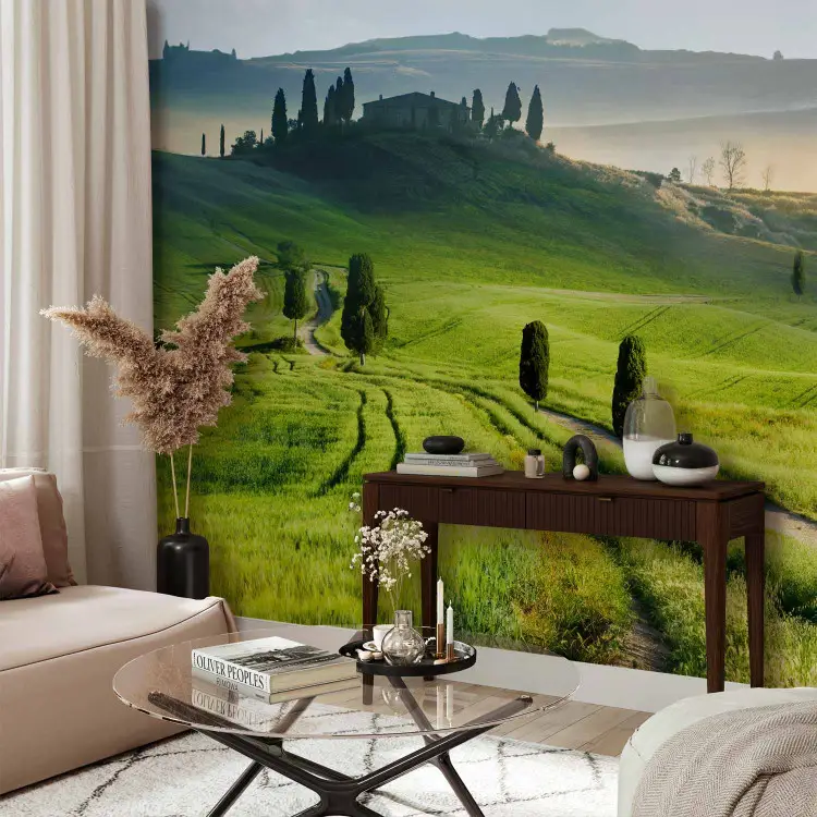 Italienische Toskana - Natur mit Bäumen auf grünen Wiesen