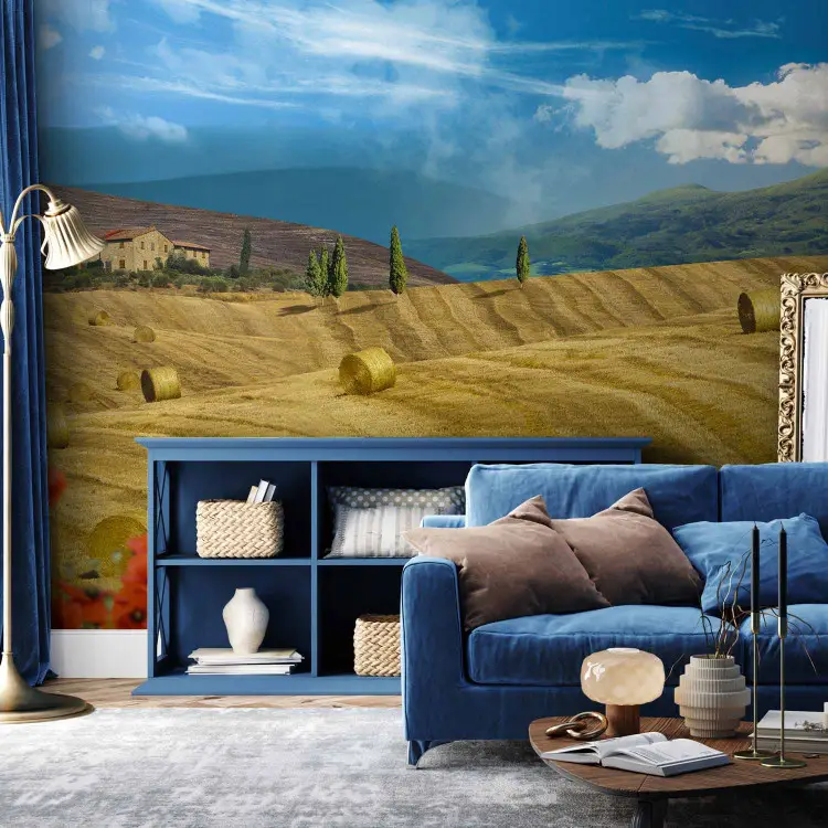 Italienische Toskana - Landschaft mit Bäumen auf goldenen Wiesen