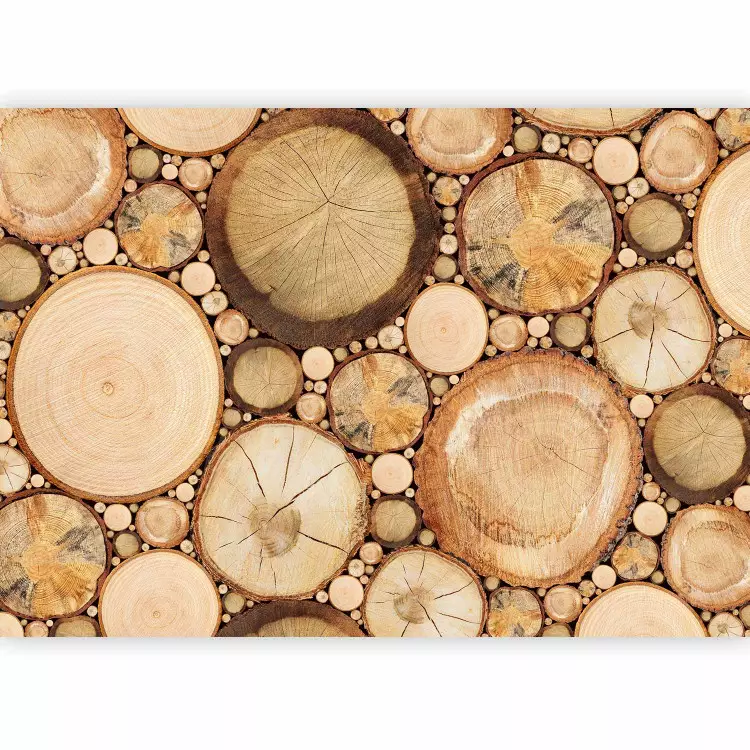 Holzmaserungen