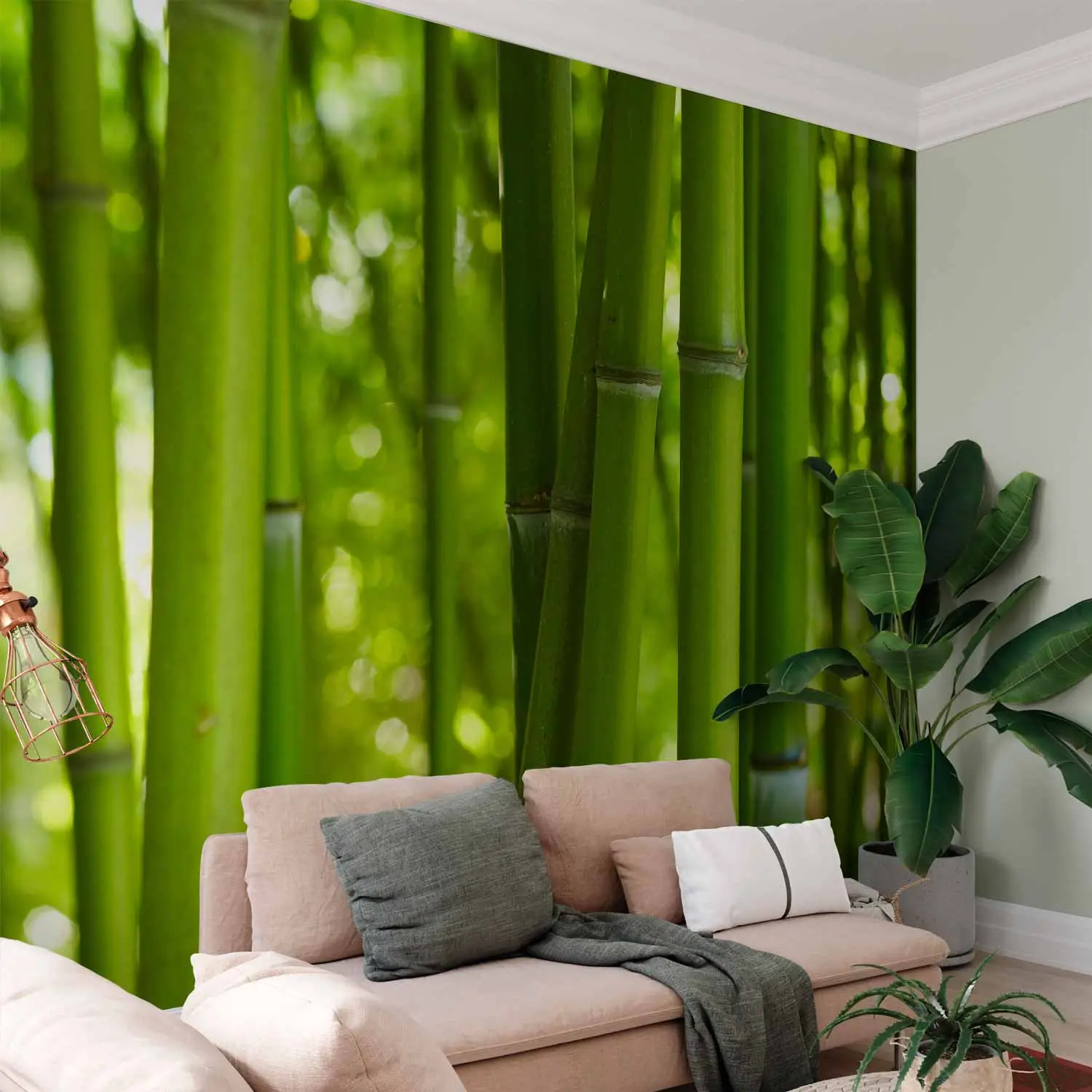 sichtschutz balkon bambus optik Bambus Rollzaun Cendani – Bambus Sichtschutz für Garten und Terrasse –  Bambusbasis main image 0
