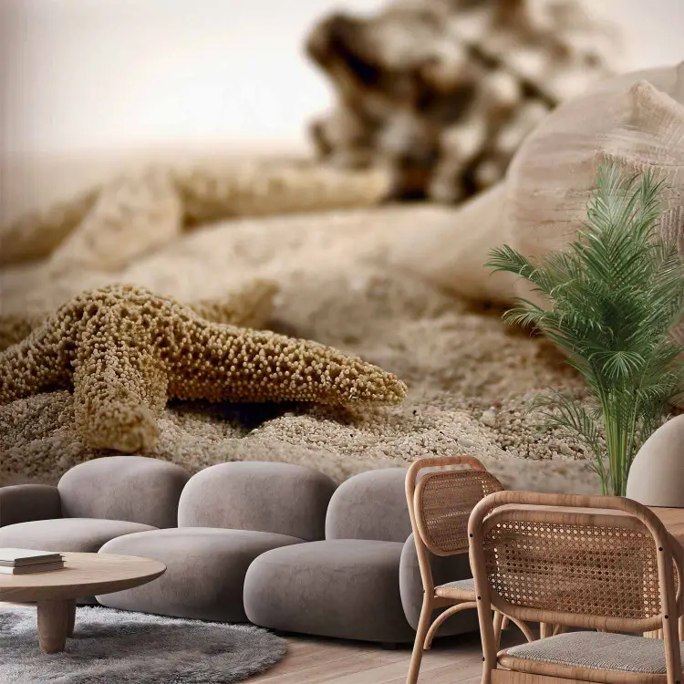 Geschenke des Meeres - Muscheln und Seesterne am sandigen Strand