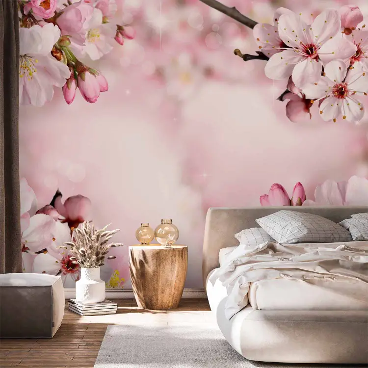 Frühlingserwachen der Kirschblüte - weiße Blüten auf rosa Hintergrund
