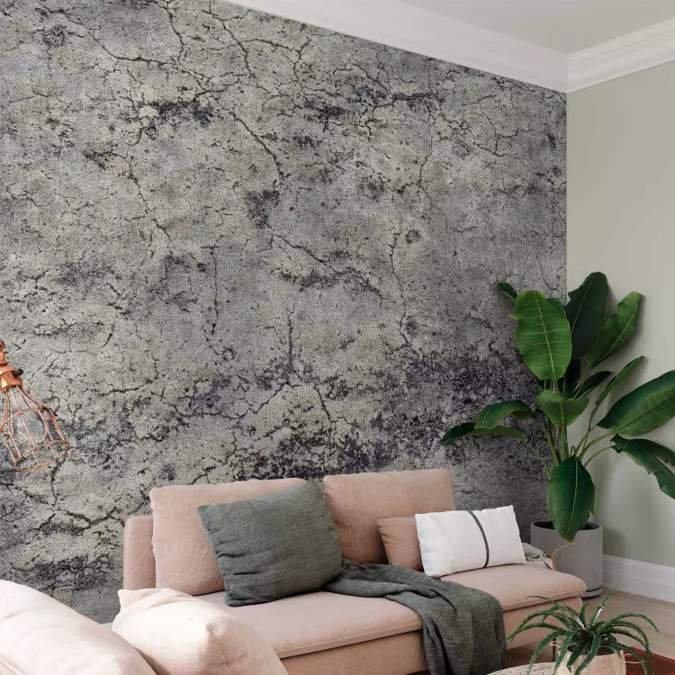 Graue Dame - Minimalistische Hintergrundtextur aus Beton mit Rissen