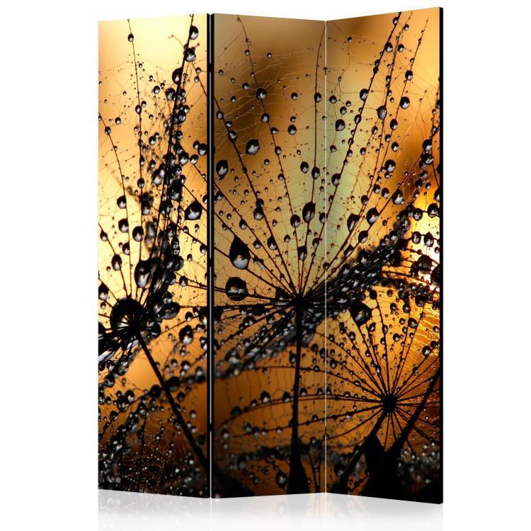 Paravent Dandelions in the Rain [Room Dividers]