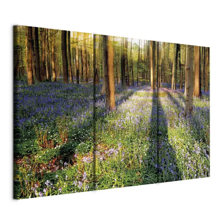 Blumenwiese zwischen den Bäumen (3-teilig) - Frühlingswaldlandschaft