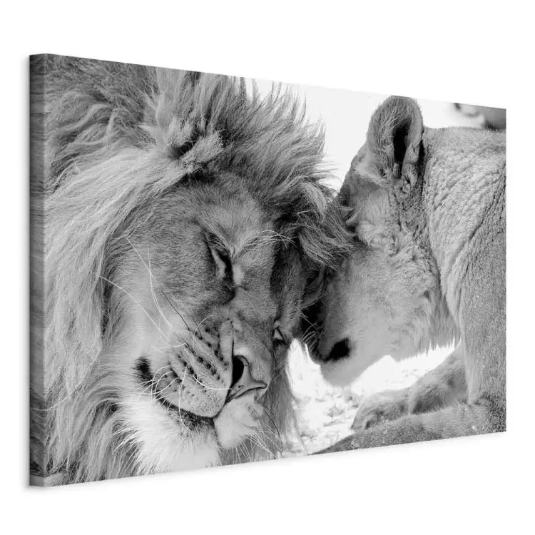 Die Liebe des Löwen