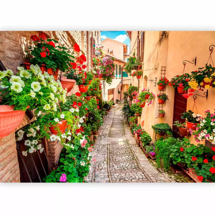 Umbrien - Mediterrane Landschaft mit bunter Architektur und Blumen