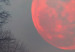 Leinwandbild Red Planet (1 Part) Wide 125400 additionalThumb 4
