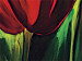Bild auf Leinwand Drei Tulpen  47400 additionalThumb 2