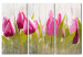 Bild auf Leinwand Spring bouquet of tulips 50200