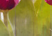 Bild auf Leinwand Spring bouquet of tulips 50200 additionalThumb 5