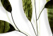 Leinwandbild Olive Twig (1 Part) Vertical 126810 additionalThumb 5