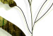 Leinwandbild Olive Twig (1 Part) Vertical 126810 additionalThumb 4