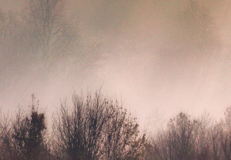 Wandbild Forest in Mist - Mountainous Landscape With Trees at Sunrise 151820 additionalImage 5