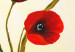 Wandbild Frühlingstulpen (1-tlg.) - rote Blumenauf cremefarbenen Hintergrund 48660 additionalThumb 3