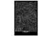 Bild auf Leinwand Die Anordnung von Berlin (1-teilig) - Schwarz-weiße Stadtperspektive 118090