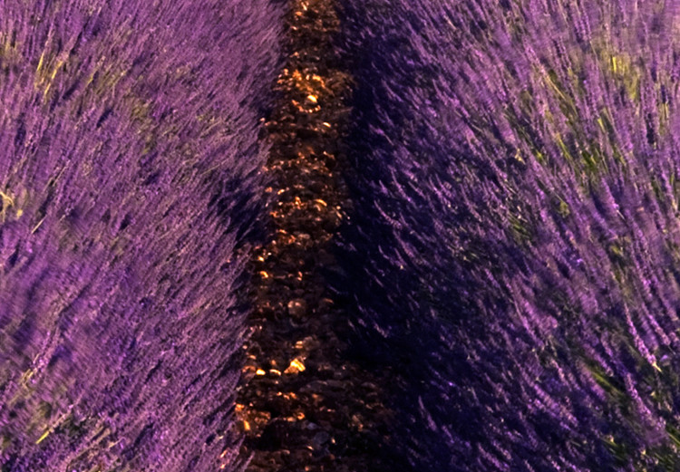 Bild auf Leinwand Lavender Field (1 Part) Wide 125001 additionalImage 4