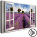 Bild auf Leinwand Lavender Field (1 Part) Wide 125001 additionalThumb 6