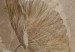 Vlies Fototapete Minimalistische beigefarbene Mohnblumen - Abstraktion mit Blumenmotiv 142701 additionalThumb 3