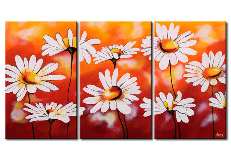 Leinwandbild Gänseblümchen (3-teilig) - Blumenkomposition auf Sommerfarben 48601