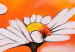 Leinwandbild Gänseblümchen (3-teilig) - Blumenkomposition auf Sommerfarben 48601 additionalThumb 2