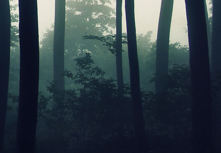 Leinwandbild XXL Forest in the Mist [Large Format] 150831 additionalImage 5