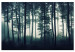 Leinwandbild XXL Forest in the Mist [Large Format] 150831