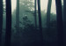 Leinwandbild XXL Forest in the Mist [Large Format] 150831 additionalThumb 5