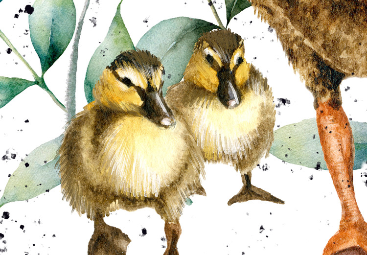 Leinwandbild Family of Ducks - Cute Painted Animals and Plants Background in Splashes 145741 additionalImage 5