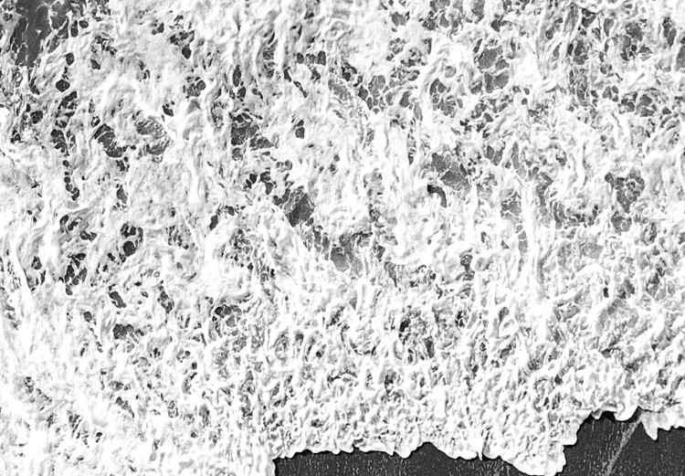Wandbild Ozeanufer - SW-Foto mit Wellen, die gegen den Strand schlagen 115161 additionalImage 4