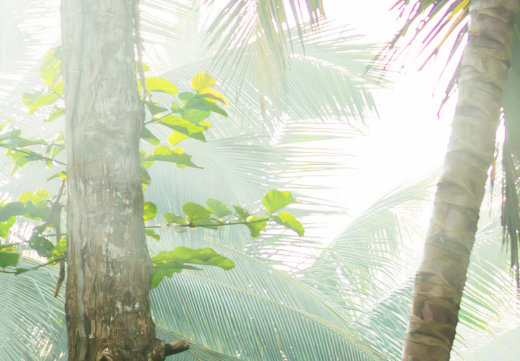 Fototapete Morning in the Jungle - Sunshine Among the Tropical Vegetation 151261 additionalImage 4