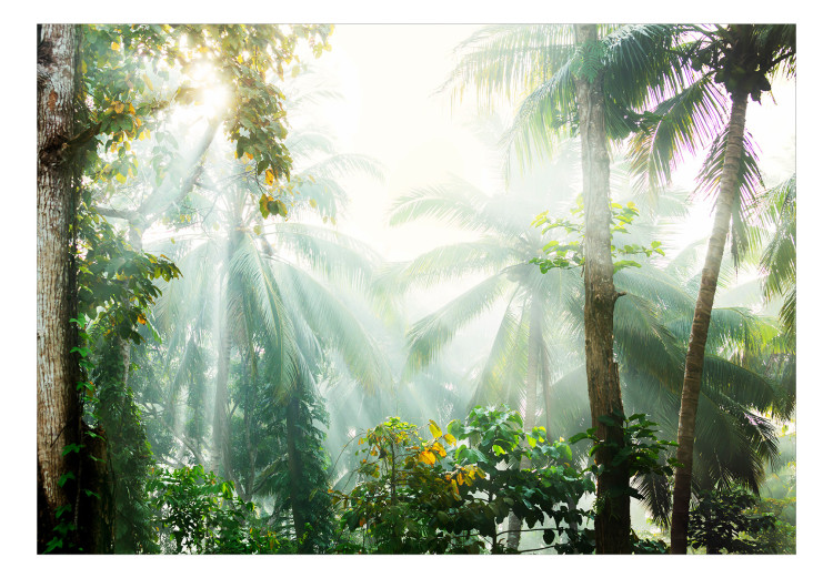 Fototapete Morning in the Jungle - Sunshine Among the Tropical Vegetation 151261 additionalImage 1